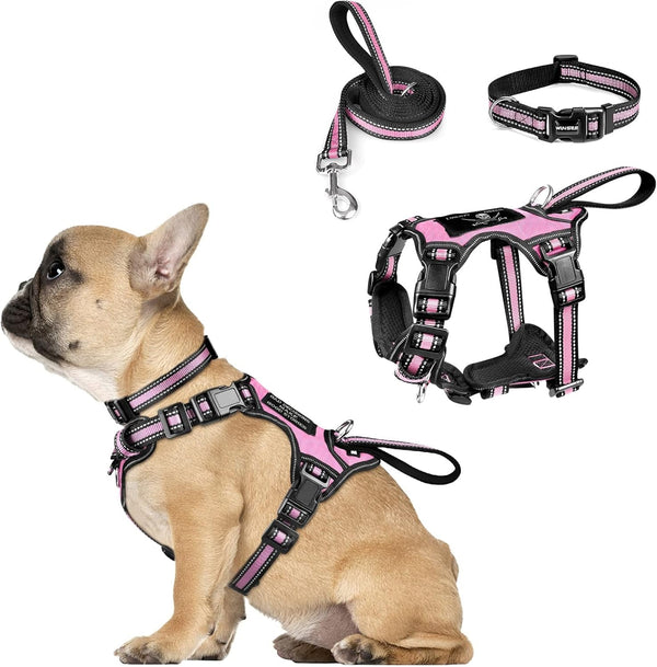 WINSEE Pet Harness Collar and Leash Set, All-In-One Reflective Dog Harness No Pull with Adjustable Buckles for Puppies, Small, Medium, Large, and Extra-Large Dogs (Large, Pink)11