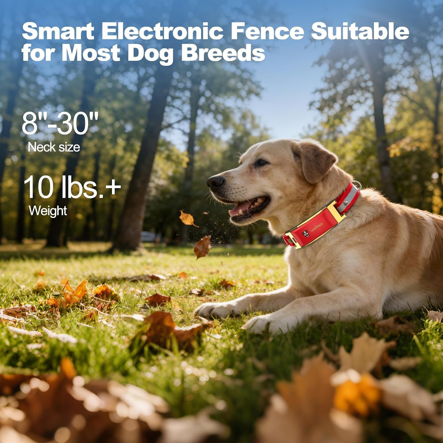 gps-wireless-dog-collar-fence-system-with-free-app-smart-portable-electric-dog-fence-64-3280ft-waterproof-rechargeable-for-medium-large-dogs-outdoor-use