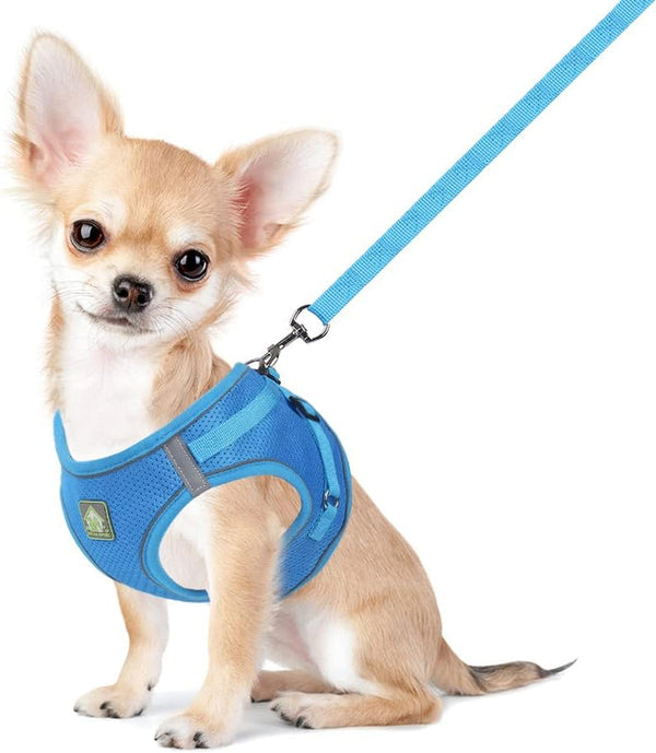 Feimax Dog Harness and Leash Set, No Pull Breathable Soft Mesh Puppy Vest Harness Reflective Adjustable Pet Harnesses for Small Medium Dogs and Cats - Outdoor Easy Control for Walking11