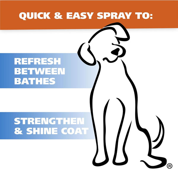 Wahl USA Pet Deodorant Spray for Dogs, Eucalyptus Spearmint, 8 Oz | Deodorize and Refresh Yours Dogs Coat and Skin between Baths for a Clean-Smelling Pet – Model 820011A4