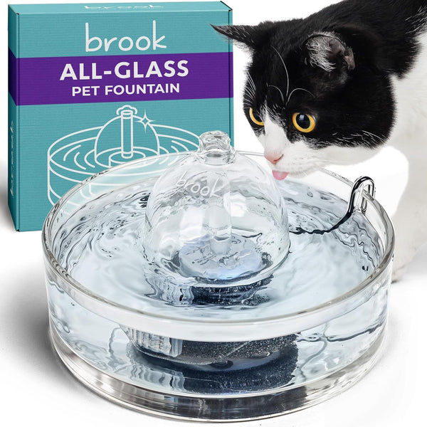 Brook Glass Cat Water Fountain 90Oz – Dishwasher Safe Pet & Dog Fountain | Automatic 2.7L Drinking Water Dispenser – Quiet, Easy to Clean Glass Bowl, Filters Included – for Indoor Cats, Kittens & Dogs1