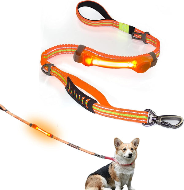 Heavy Duty Dog Leash and LED Light Set, LED Light with Nylon Stickers, Universal Glowing Accessories Easy to Attach Collar Leash and Harness, Safety LED Light up Band for Dogs at Night Walking10