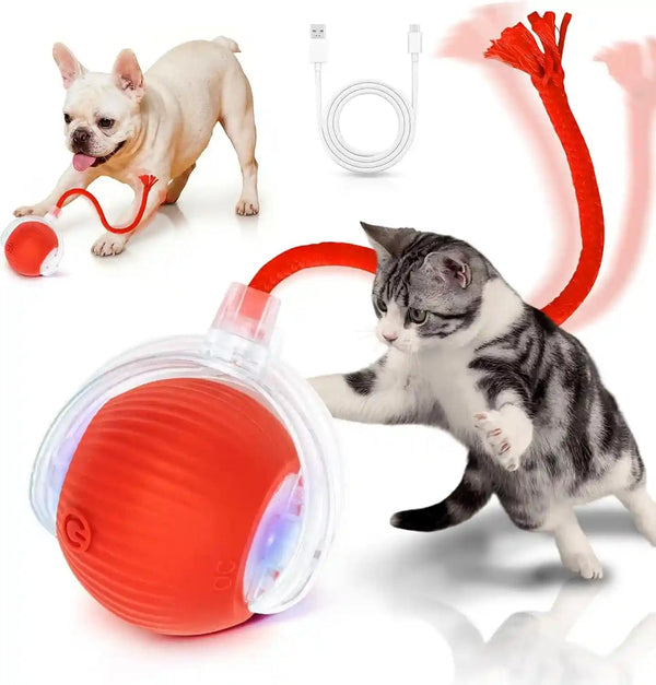 Cat Toys for Indoor Cats Smart Automatic Bal Moving Chase Dogs Toy, Red | Ball Rolling for Bored Kitten Pet, Upgraded Speedy Moving Chase Dogs Toy1