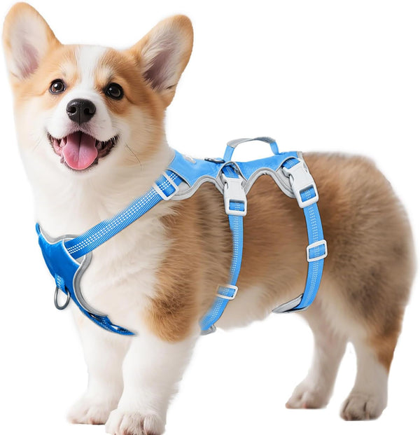 Huntboo Escape Proof Dog Harness, Escape Artist Harness, Reflective Harness with Padded Handle, Breathable, Durable, Adjustable Vest for Medium Dogs Walking, Training, and Running Gear (Blue, M)19