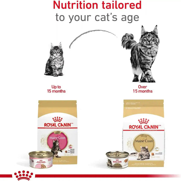 ROYAL CANIN Feline Breed Nutrition Maine Coon Kitten Dry Cat Food, 3 Lb Bag5