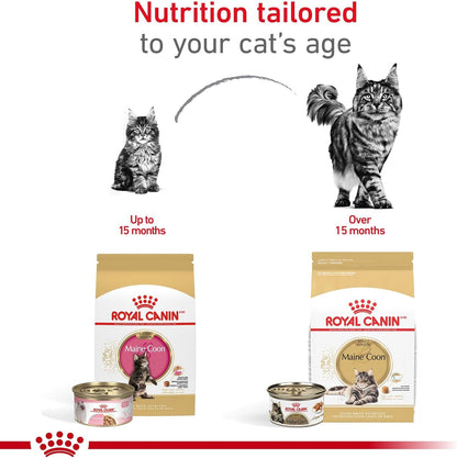 ROYAL CANIN Feline Breed Nutrition Maine Coon Kitten Dry Cat Food, 3 Lb Bag5