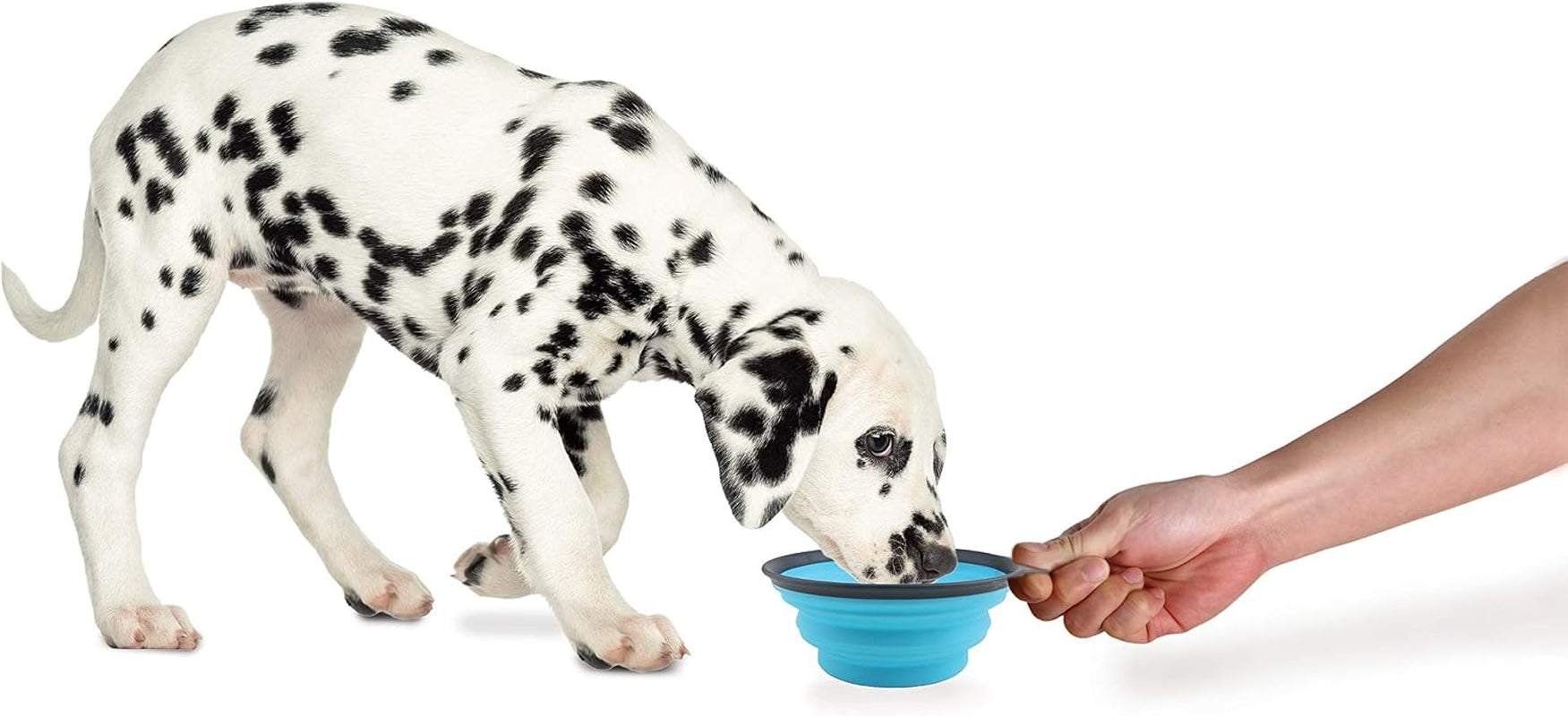 dexas-popware-for-pets-collapsible-travel-cup-large-gray-blue