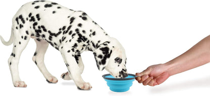 Dexas Popware for Pets Collapsible Travel Cup, Large, Gray/Blue2
