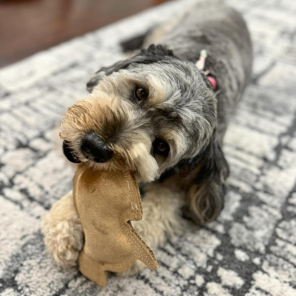 SPOT Dura-Fused Leather Rabbit Dog Toy – Durable Real Leather & Jute Chew Toy with Squeaker, Double-Stitched for Moderate Chewers, Small & Medium Dogs, 7.5In7