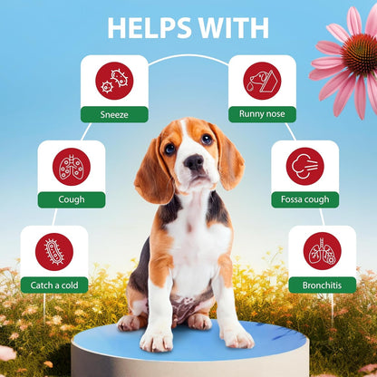 Kennel Cough Drops for Dogs & Cats Cough Relief Dry and Wet Pet Cough Allergy Relief - for Dogs of All Breeds & Sizes3