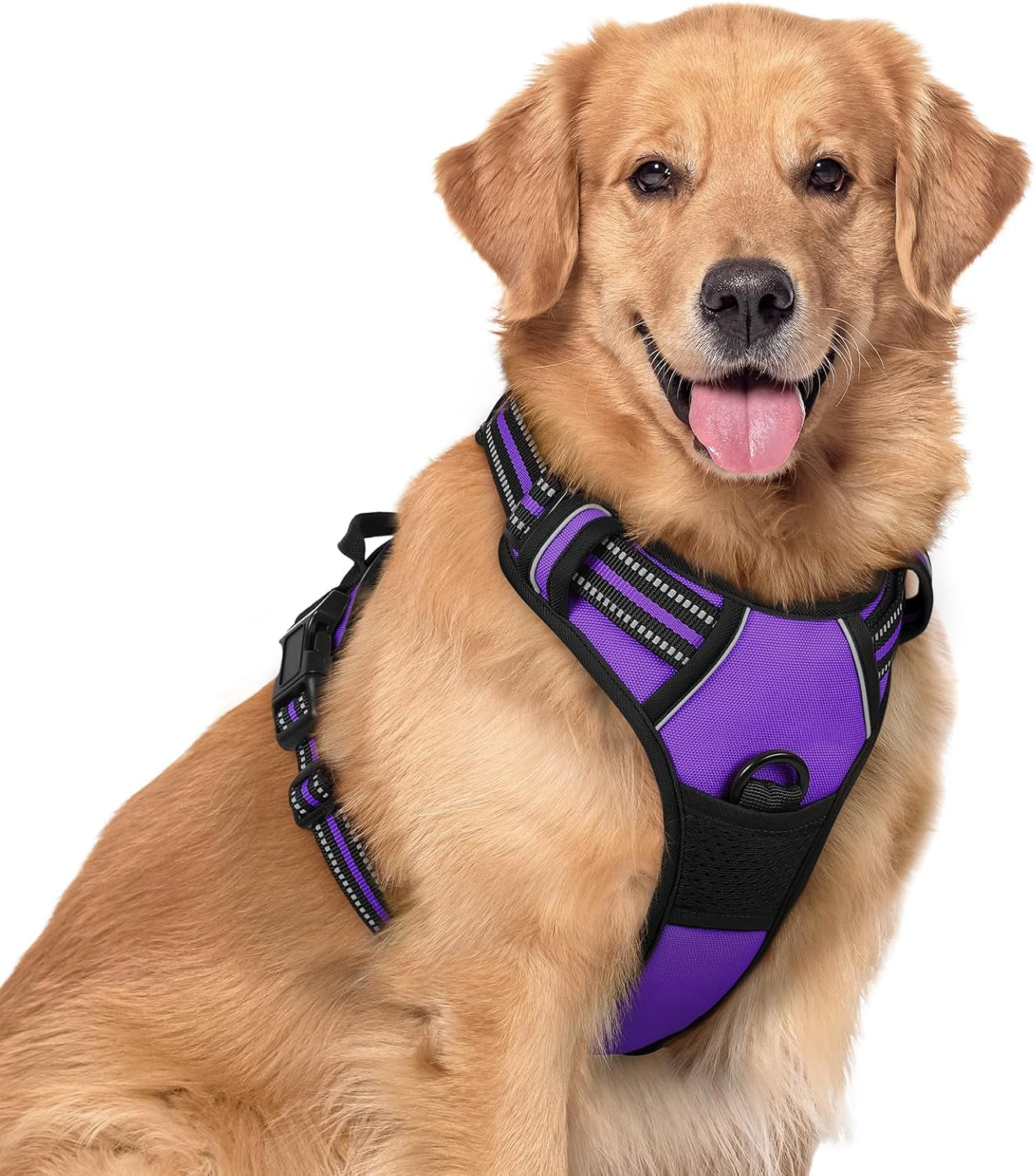 rabbitgoo-dog-harness-no-pull-for-large-dogs-with-2-leash-clips-pet-vest-no-choke-with-handle-adjustable-soft-padded-reflective-easy-control-for-walking-black-large