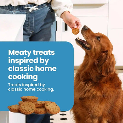 Blue Buffalo Nudges Chicken Homestyle Natural Dog Treats, Pot-Pie-Inspired Recipe, Healthy Reward or Training Treat, Made in the USA with Real Chicken, No Artificial Preservatives, 16 Oz.6