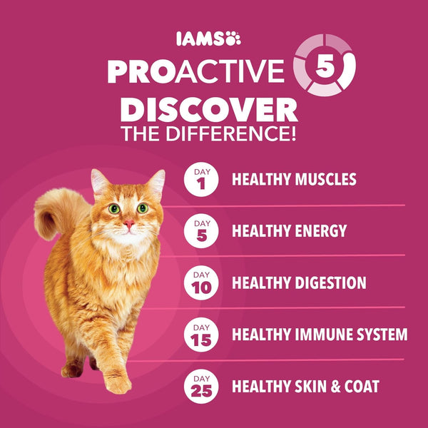 IAMS Proactive Health Urinary Tract Health Dry Cat Food, Chicken, 22 Lb | Veterinarian-Recommended, Real Chicken #1 Ingredient, Reduces Urinary Ph, Antioxidants, Antioxidants for Immune Support5