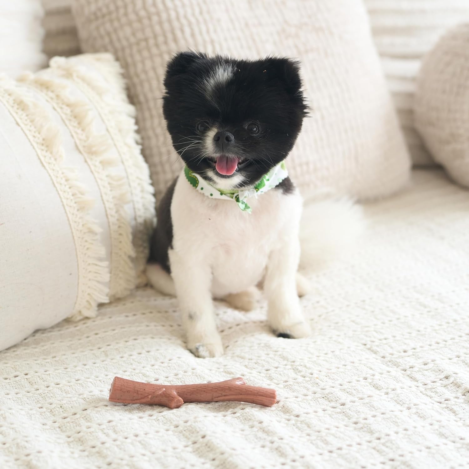 spot-bam-bones-plus-branch-bamboo-fiber-nylon-durable-long-lasting-dog-chew-for-aggressive-chewers-great-toy-for-adult-dogs-teething-puppies-under-60lbs-non-splintering-5-75in-beef-flavor