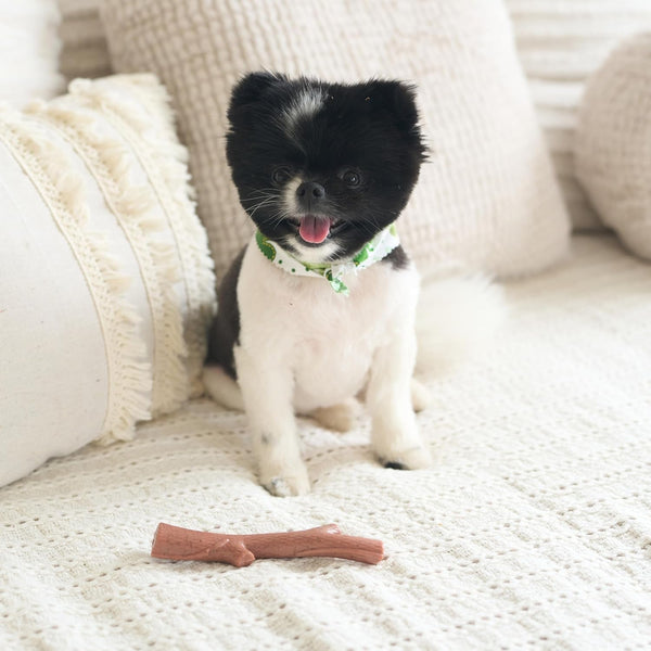 SPOT Bam-Bones plus Branch -Bamboo Fiber & Nylon, Durable Long Lasting Dog Chew for Aggressive Chewers – Great Toy for Adult Dogs & Teething Puppies under 60Lbs, Non-Splintering, 5.75In, Beef Flavor10