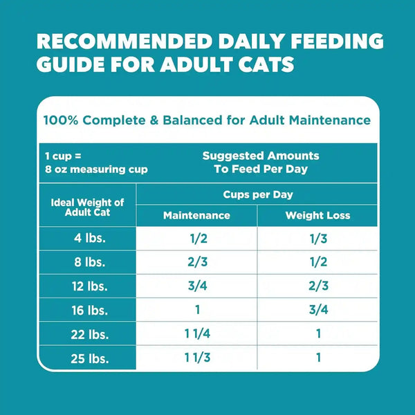 IAMS Proactive Health Indoor Dry Cat Food, Chicken & Turkey, 7 Lb | Vet-Recommended, Real Chicken #1 Ingredient, Proprietary Fiber Blend, Prebiotics for Healthy Digestion, Hairball Control10