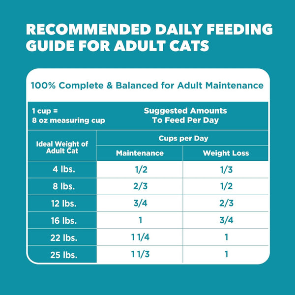 IAMS Proactive Health Indoor Dry Cat Food, Chicken & Turkey, 22 Lb | Vet-Recommended, Real Chicken #1 Ingredient, Proprietary Fiber Blend, Prebiotics for Healthy Digestion, Hairball Control9