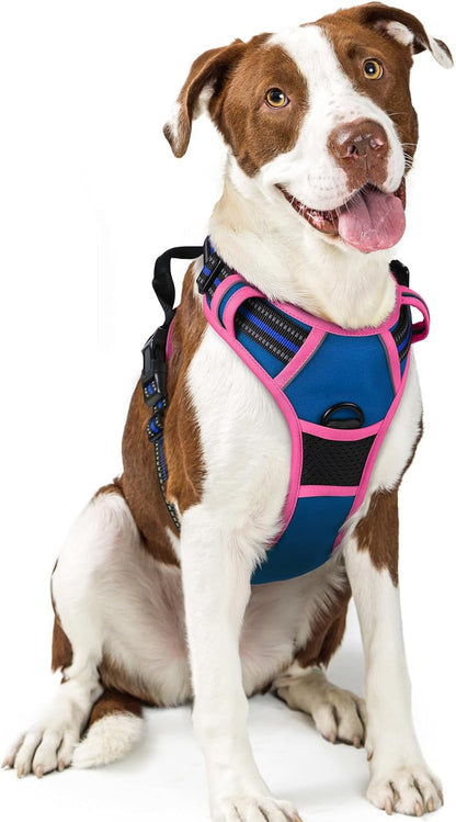 Rabbitgoo Dog Harness, No Pull for Large Dogs with 2 Leash Clips, Pet Vest | No Choke with Handle, Adjustable Soft Padded, Reflective, Easy Control for Walking, Black, Large64