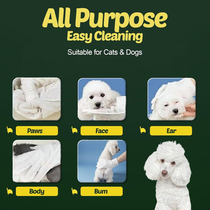 Petazy Pet Wipes for Dogs and Cats – 400 Count (8X8In) Hypoallergenic, Deodorizing Dog Wipes for Paws, Ears and Butt | XL with Aloe & Coconut Oil, Lavender Scented | Includes 4 Grooming Glove Wipes3