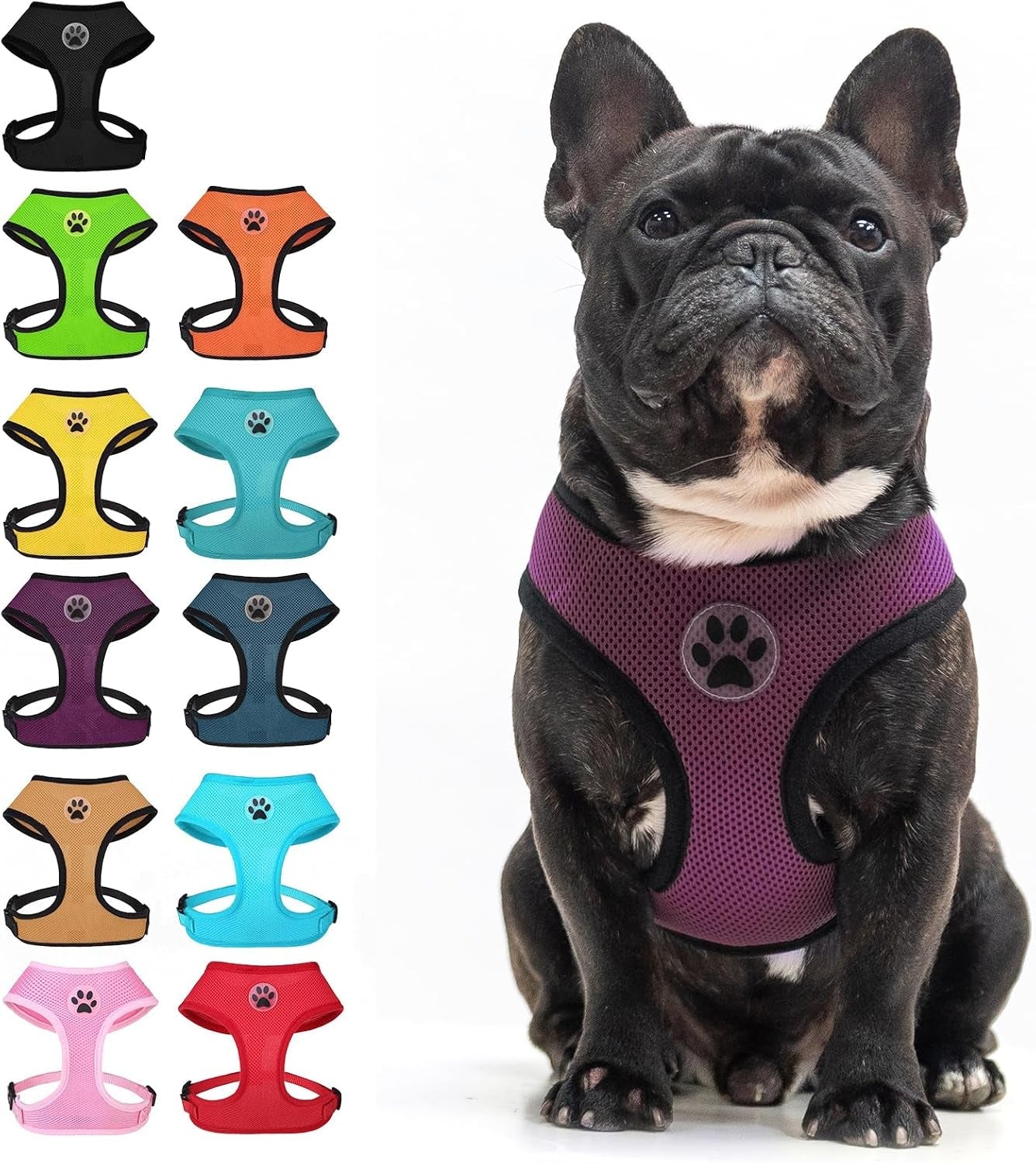 bingpet-small-dog-harness-no-pull-dog-harness-small-sized-dogs-soft-light-breathable-mesh-puppy-vest-with-safety-buckle-adjustable-step-in-pet-harnesses-for-easy-walking-running-training