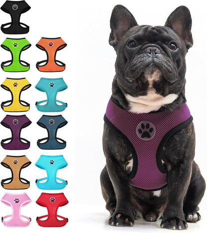 BINGPET Small Dog Harness, No Pull Dog Harness Small Sized Dogs, Soft Light Breathable Mesh Puppy Vest with Safety Buckle-Adjustable Step in Pet Harnesses for Easy Walking, Running, Training21