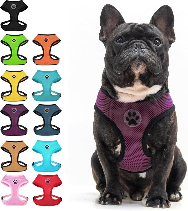 BINGPET Small Dog Harness, No Pull Dog Harness Small Sized Dogs, Soft Light Breathable Mesh Puppy Vest with Safety Buckle-Adjustable Step in Pet Harnesses for Easy Walking, Running, Training21