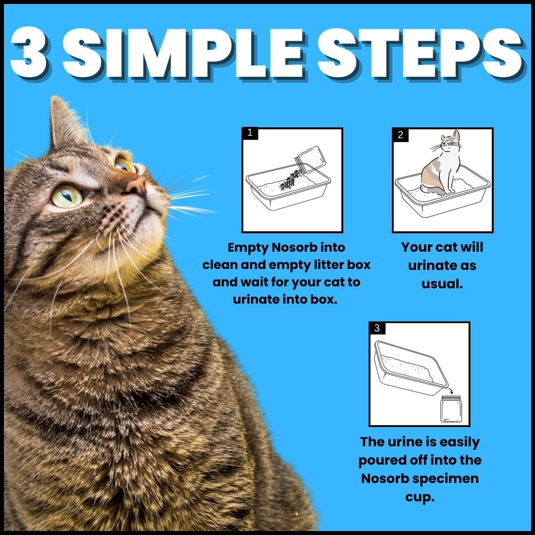 creative-science-nosorb-non-absorbent-cat-litter-6-oz-easily-collect-urine-samples-from-cats