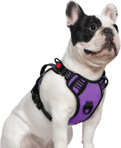 Rabbitgoo Large Dog Harness, Easy Wear with 3 Buckles and Lift Handle | No Pull with Front Clip for Walking, Adjustable Soft Padded, Reflective, Easy Control, Pink, Large30