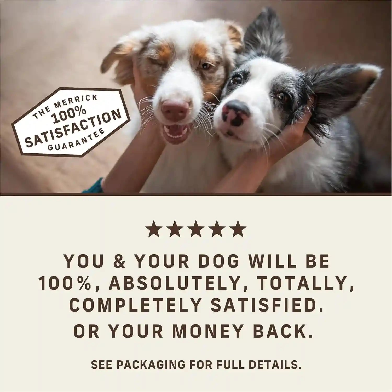 merrick-power-bites-salmon-recipe-healthy-dog-treats-real-salmon-grain-free-dog-snacks-6-oz-bag