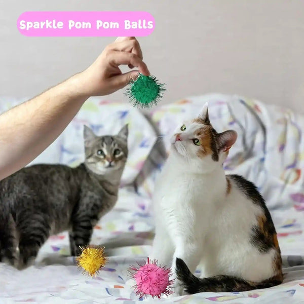 Cat Toys for Indoor Cats 40 PCS Kitten Toys | Cat Interactive Toys Pack Including Cats Springs Sparkle Ball Pom Pom Ball Jingle Balls Tracks Balls8