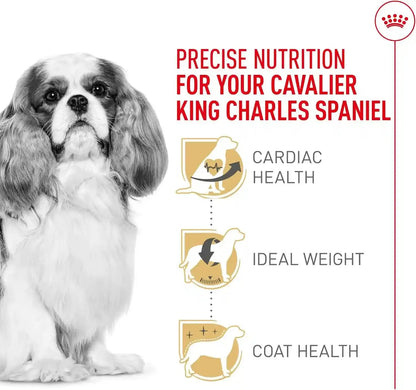 ROYAL CANIN Breed Health Nutrition Cavalier King Charles Spaniel Adult Dry Dog Food, 10 Lb Bag | Specialized Kibble Shape, Supports Heart Health, Formulated for Breed-Specific Needs, 10 Lb Resealable Bag4