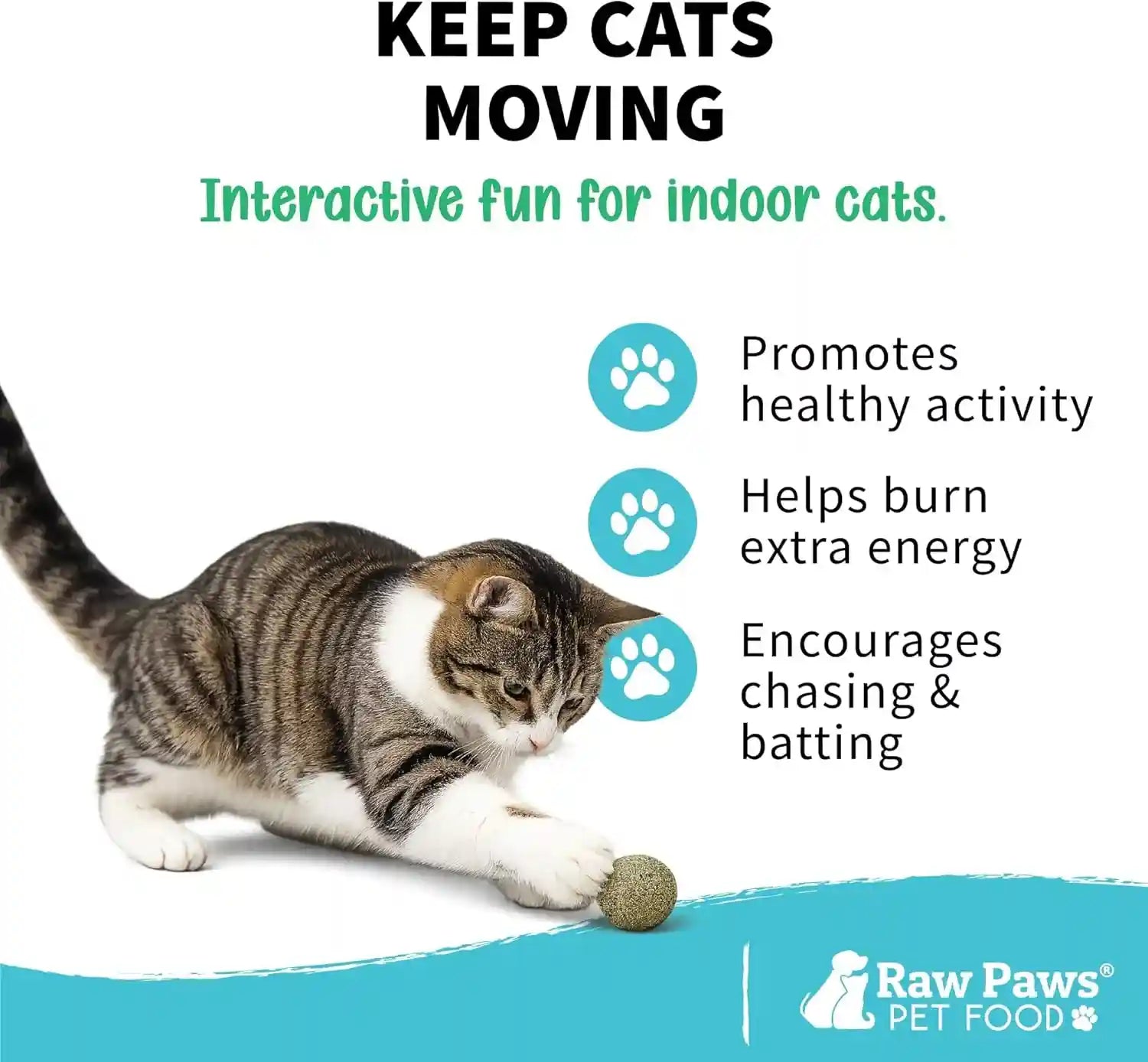 raw-paws-catnip-balls-for-cats-6-count-interactive-indoor-cat-toy-natural-compressed-natural-catnip-cat-lick-balls-catnip-roller-balls-play-enrichment-toy-fresh-dried-no-additives