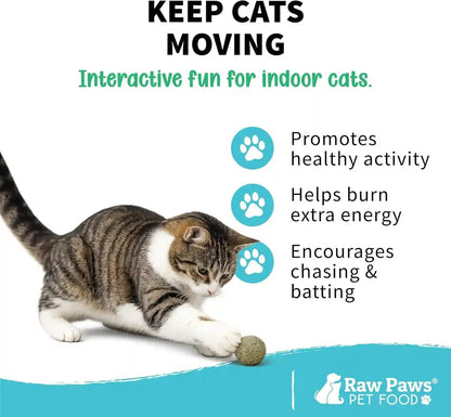 Raw Paws Catnip Balls for Cats (6-Count) - Interactive Indoor Cat Toy | Natural Compressed Natural Catnip - Cat Lick Balls - Catnip Roller Balls - Play & Enrichment Toy - Fresh Dried - No Additives4