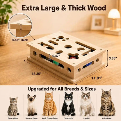 2026 New Cat Scratch Puzzle Enrichment Box, Interactive Cat Nail File Box with Catnip & Bell Ball, Cat Scratcher Toy with Teaser Wand, Stress-Free Alternative to Clippers & Grinders3