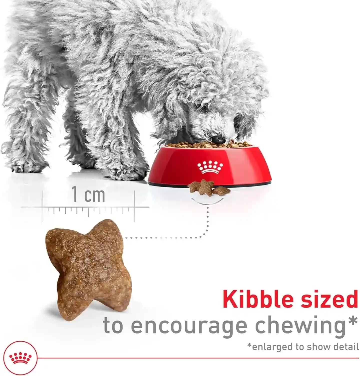 royal-canin-size-health-nutrition-small-adult-dry-dog-food-14-lb-bag