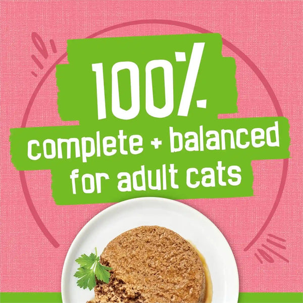 Purina Friskies Wet Cat Food Pate, Pate Salmon Dinner - (Pack of 24) 5.5 Oz. Cans4