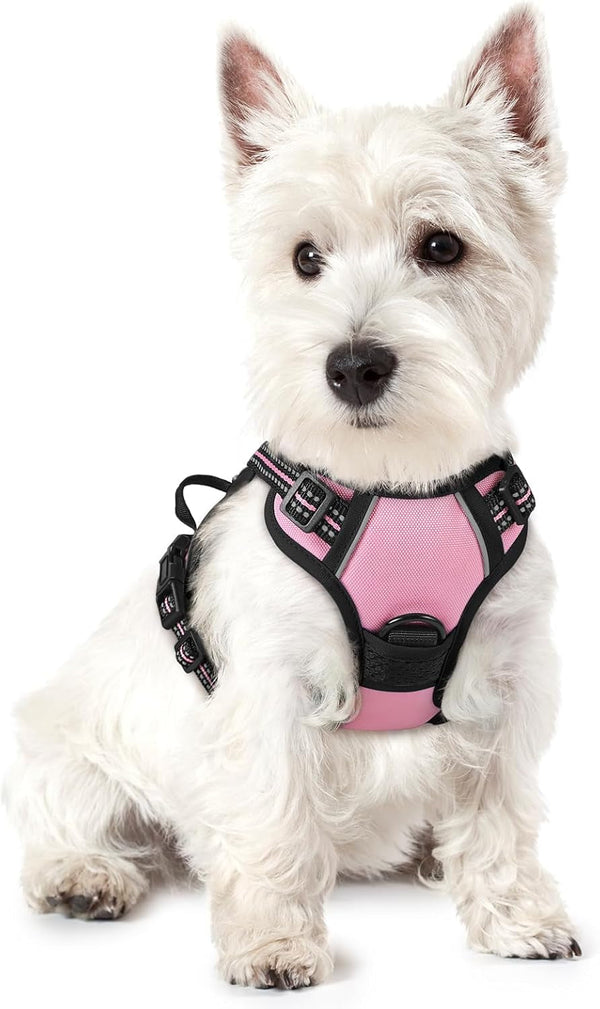 Rabbitgoo Dog Harness, No Pull for Large Dogs with 2 Leash Clips, Pet Vest | No Choke with Handle, Adjustable Soft Padded, Reflective, Easy Control for Walking, Black, Large81