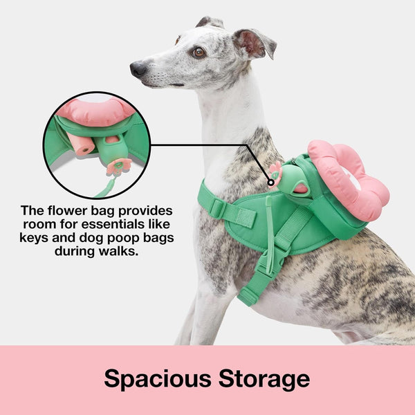 VETRESKA Flora Dog Harness, Leash and Collar Set, No Pull Vest Harness, L | for Walking and Training, Adjustable, Easy Control and Soft Padded Pet Harness and Backpack for Small Medium Large Dogs2