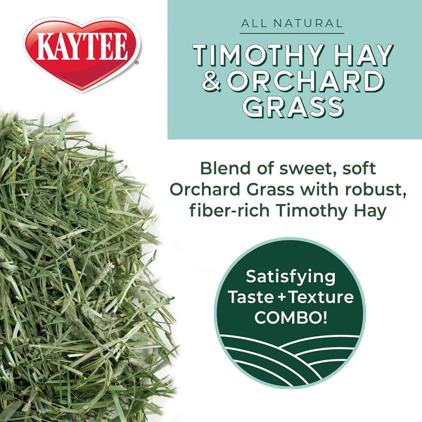 Kaytee Timothy Hay & Orchard Grass for Guinea Pigs, Rabbits & Other Small Animals, 48 Oz5