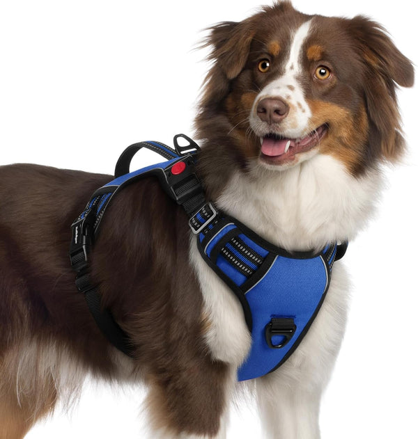 Rabbitgoo Large Dog Harness, Easy Wear with 3 Buckles and Lift Handle | No Pull with Front Clip for Walking, Adjustable Soft Padded, Reflective, Easy Control, Pink, Large28