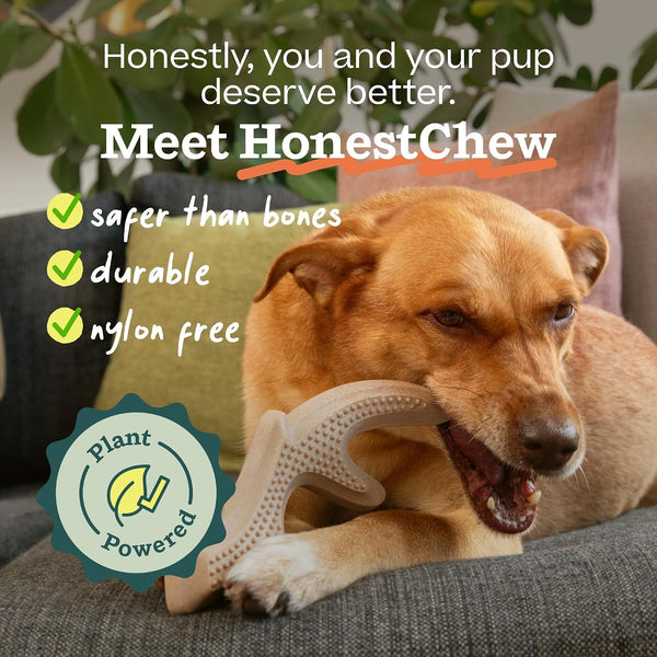 WOOF Honestchew Antler Dog Chew Toy for Dogs 25-60 Lbs | Includes Antler & Infinity, Plant-Based Materials, Splinter-Resistant, Durable Chews, Supports Dental Care, Gift-Ready Set3