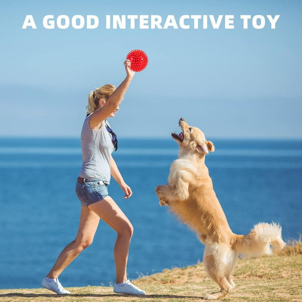 4.5” Heavy Duty Squeaky Dog Balls Toys for Medium Large Dogs 4 Pack Indestructible Dog Toys for Aggressive Chewers Spike Dog Balls for Clean Teeth and Training Dog Toys for Boredom and Stimulating6
