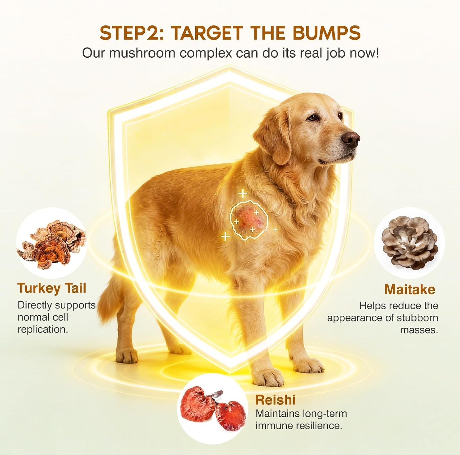 turkey-tail-mushroom-for-dogs-senior-dog-supplement-for-lumps-bumps-lipoma-soft-chews-with-reishi-maitake-turmeric-astragalus-supports-immune-health-natural-chicken-flavor-120-count