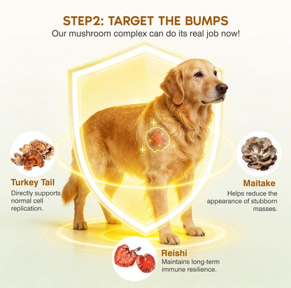 Turkey Tail Mushroom for Dogs,Senior Dog Supplement for Lumps, Bumps & Lipoma,Soft Chews with Reishi, Maitake, Turmeric & Astragalus,Supports Immune Health,Natural Chicken Flavor, 120 Count4