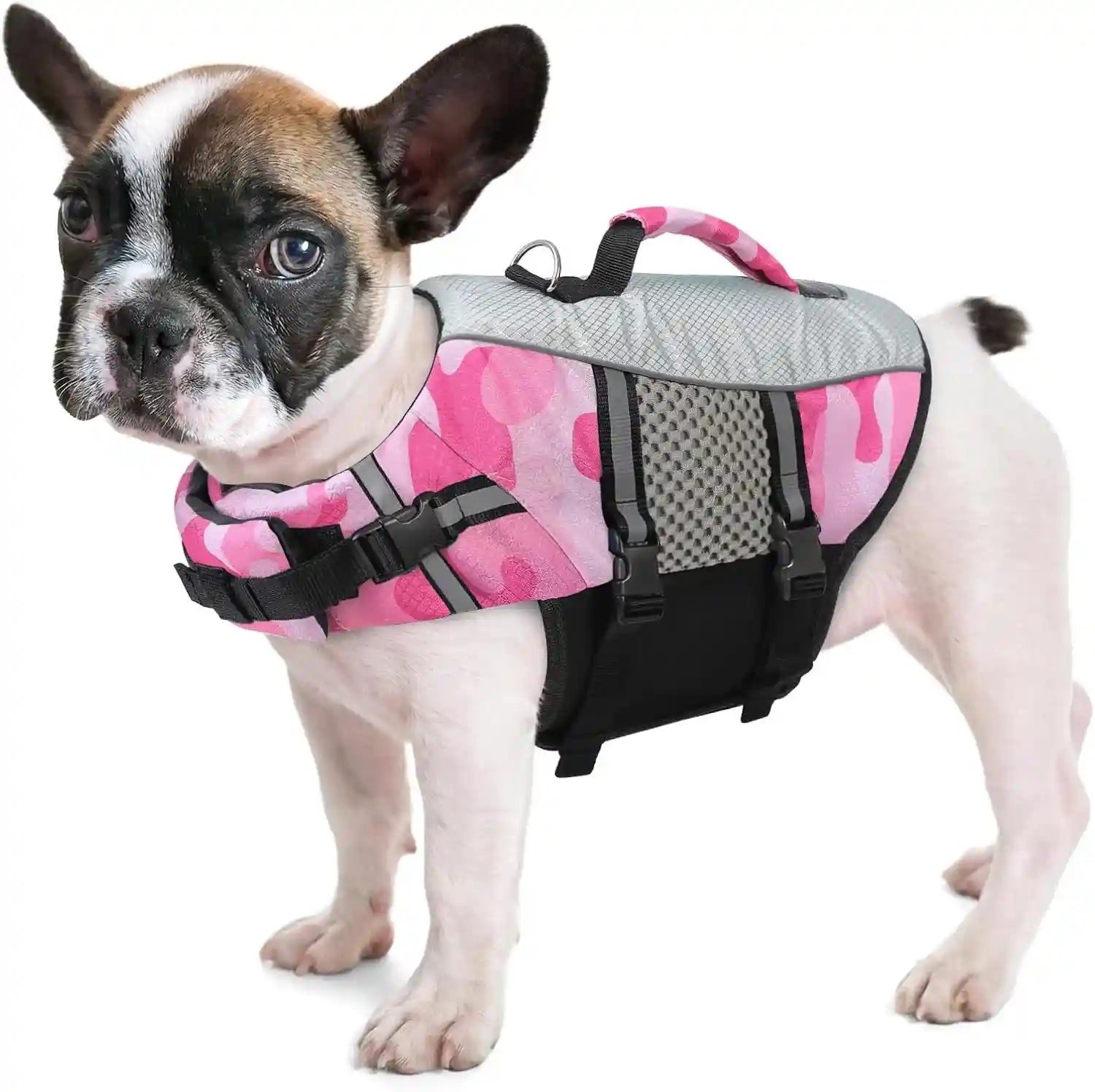 queenmore-dog-life-jacket-small-float-vests-for-swimming-boating-kayaking-mediumn-puppy-dogs-cats-neoprene-life-preserver-pet-water-lifesaver-lightweight-reflective-green-l