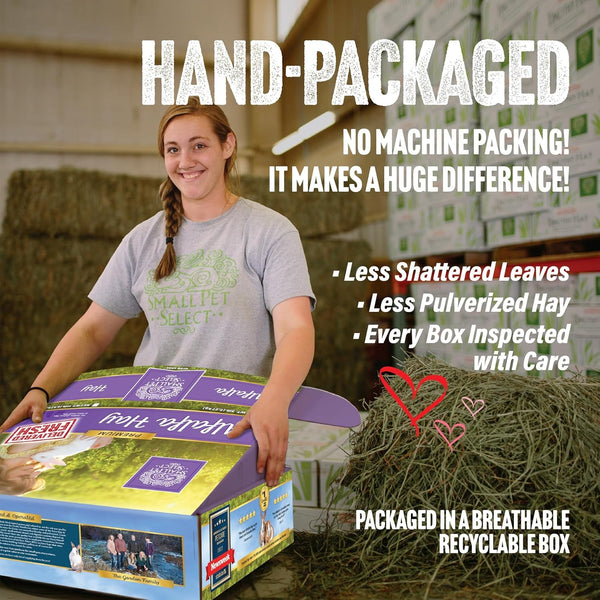 Small Pet Select Alfalfa Hay Pet Food for Young Rabbits, Guinea Pigs, Chinchillas, Tortoises and Other Small Animals, Easy to Store Box, 5 LB3