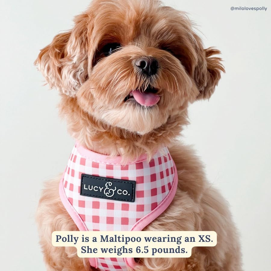 lucy-co-reversible-dog-harness-water-repellent-neoprene-dual-print-design-easy-swap-style-adjustable-comfort-fit-take-a-bow-reversible-harness-small