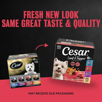 Cesar Loaf & Topper Wet Dog Food, Variety Pack, 3.5 Oz, 24 Count | Real Meat #1 Ingredient, No Fillers or Artificial Flavors, Easy-To-Digest, Slow-Cooked Tender Texture, Easy Peel Trays2