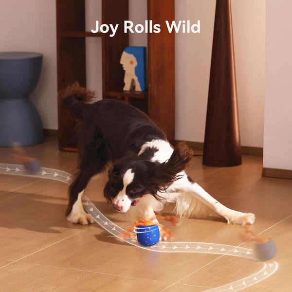 Cheerble Smart Interactive Dog Toy, Wicked Ball Rolly, Automatic Moving, Bouncing, Rotating, E-TPU Material, Active Rolling Interactive Dog Ball for Medium and Large Dogs (Blue)8