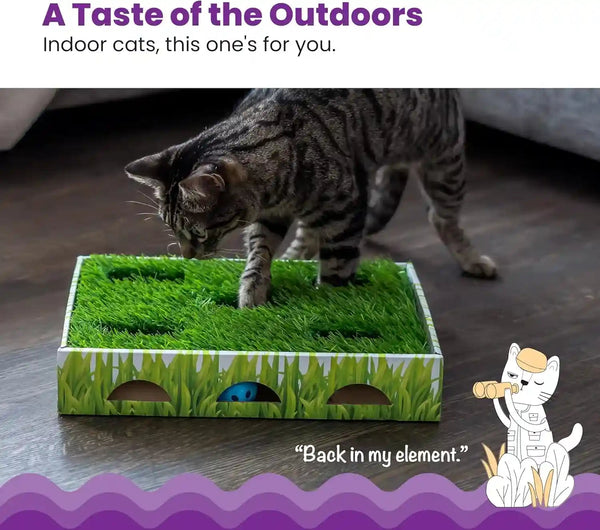 Catstages Grass Patch Hunting Box - Interactive Indoor Cat Toy with Faux Grass & 3 Jingle Balls - Encourages Exercise, Mental Stimulation & Natural Hunting Instincts3